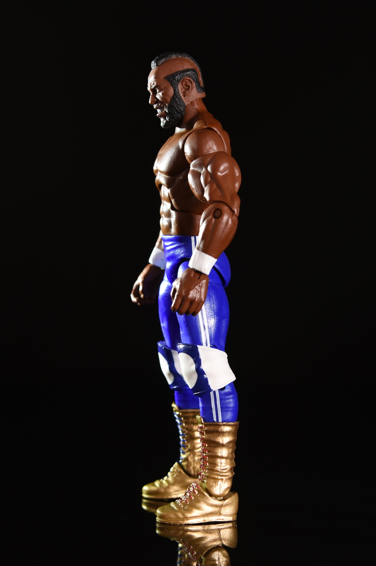 masters of the wwe mr t