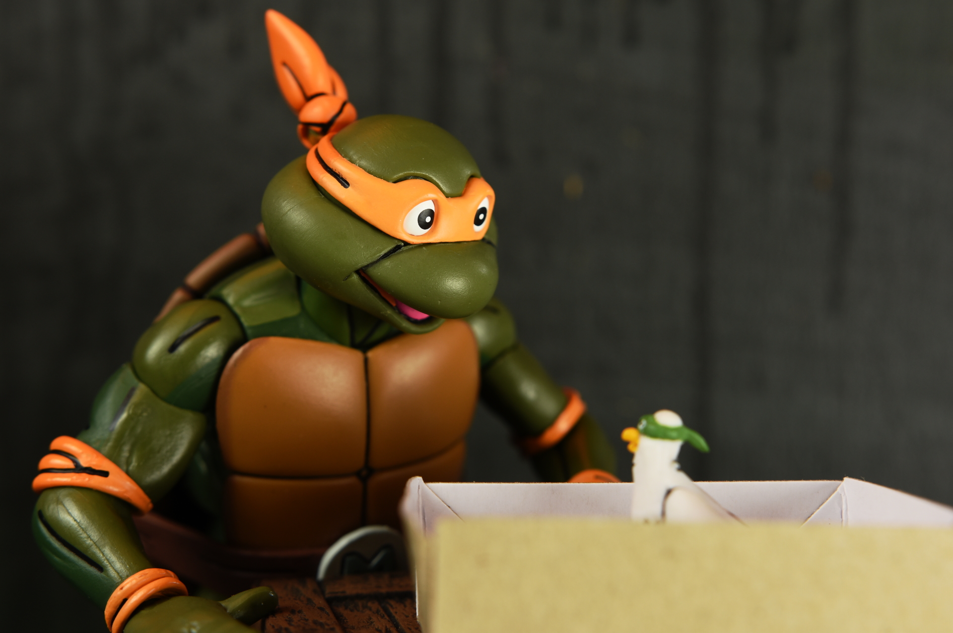 teenage mutant ninja turtles turtles in disguise