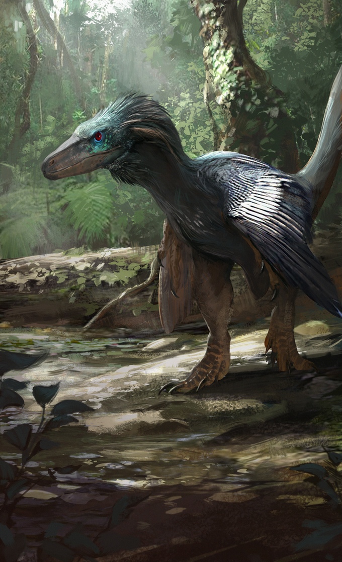 Beasts of the Mesozoic: Raptor Series Kickstarter Exclusive osmolskae
