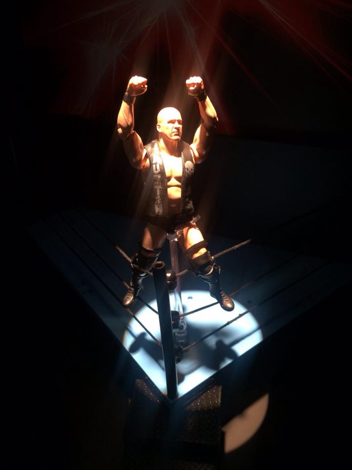 Stone cold figuarts - Escorrega o Preço