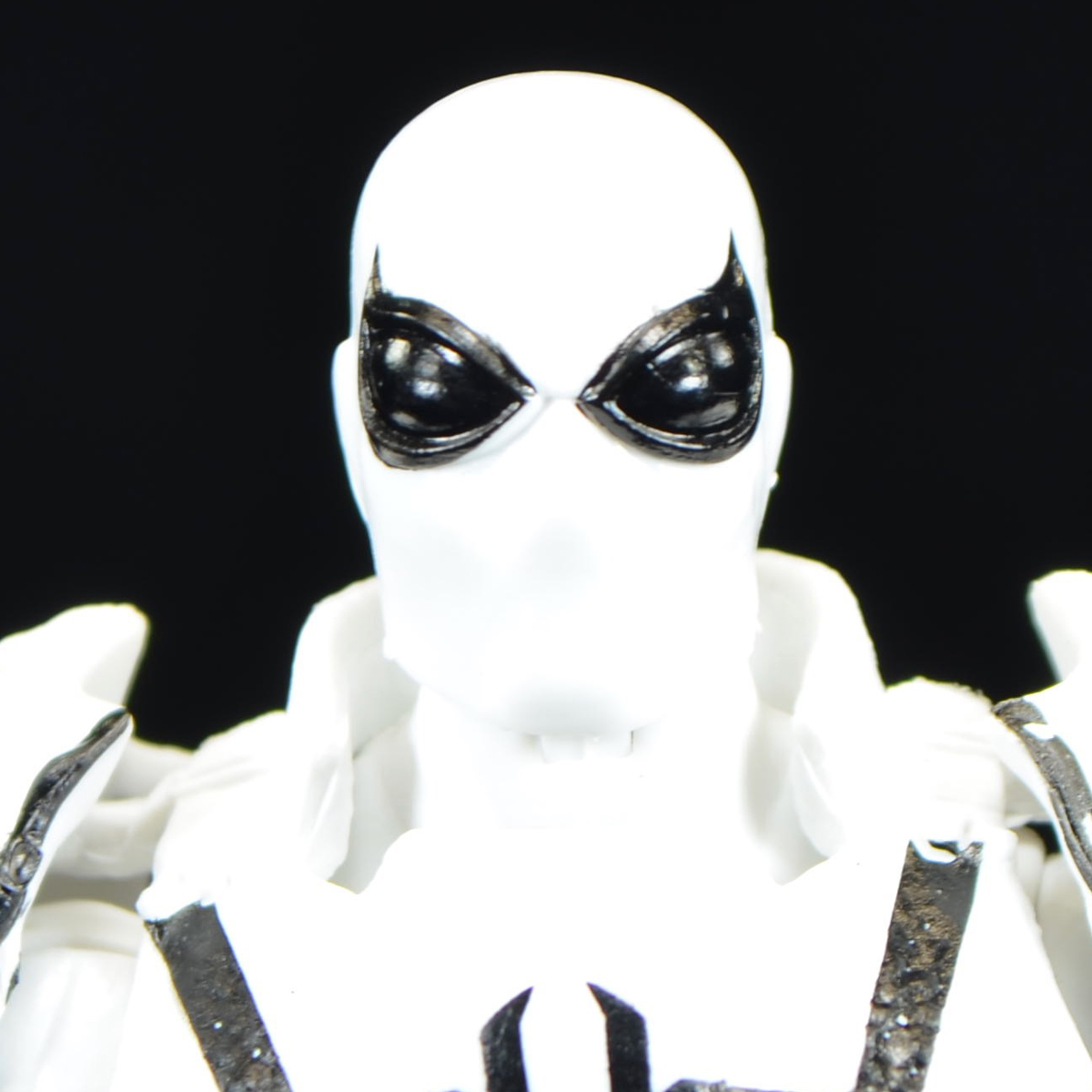 Hasbro Marvel Legends Fan Channel Exclusive Punisher And Agent Anti Venom Review Fwoosh