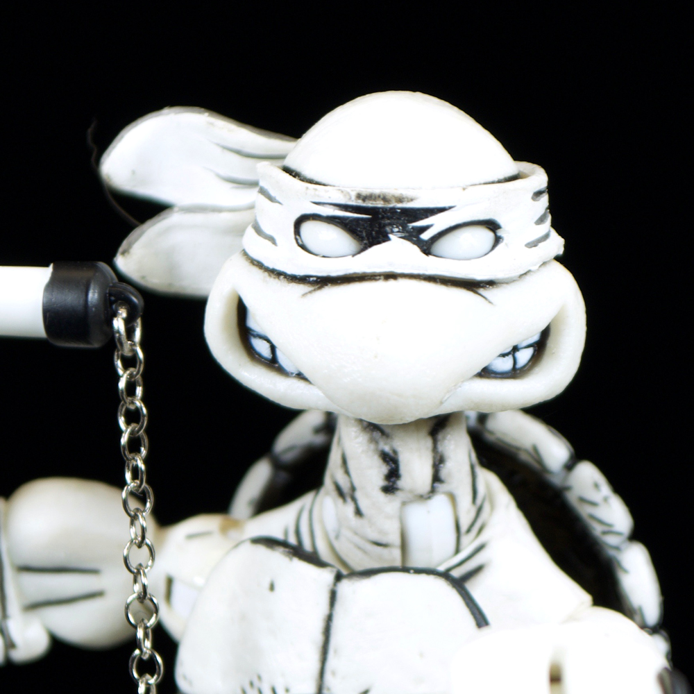 NECATMNTMirageBlackandWhiteTurtlesReviewmikeclose